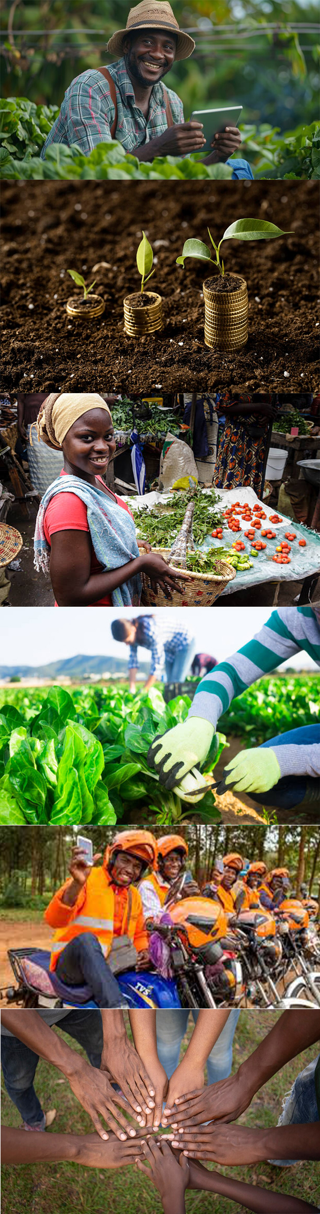 service-avater-image